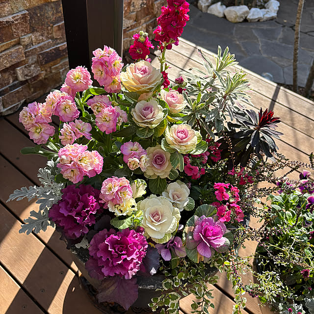 maimai0110さんの部屋