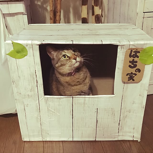 Akitomoさんの実例写真