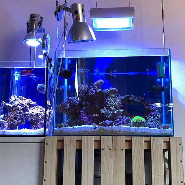 o.kanさんの部屋