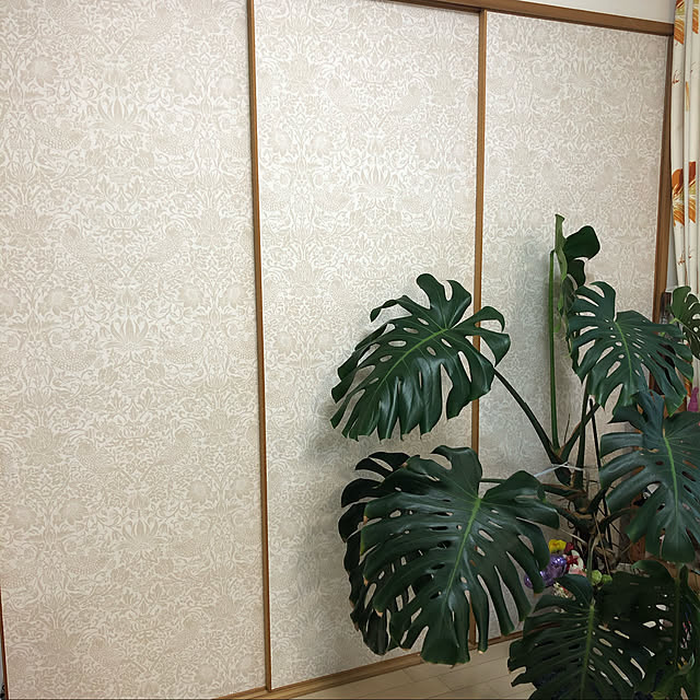 MAXさんの実例写真
