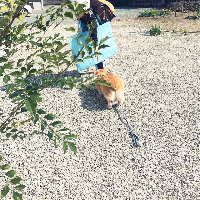 moriさんの実例写真