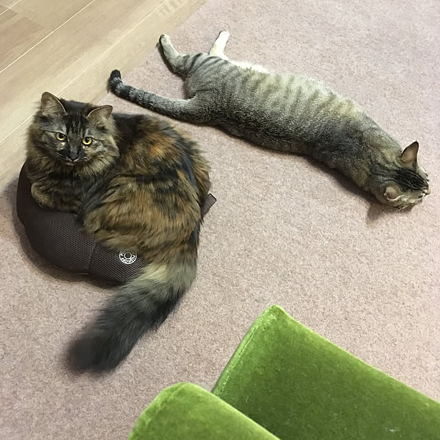 mikomaruさんの実例写真