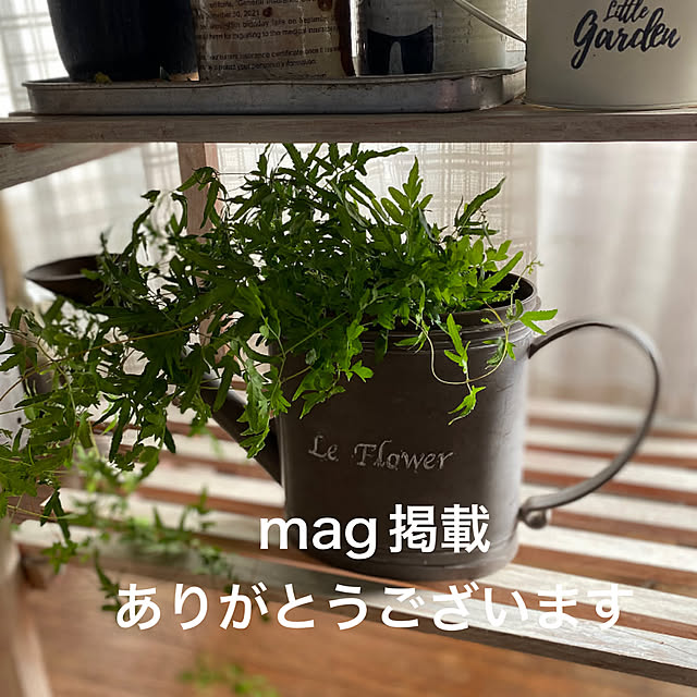 mamiさんの実例写真