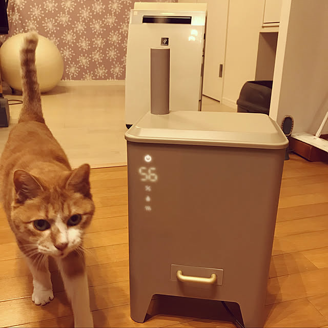 lavie0125さんの実例写真