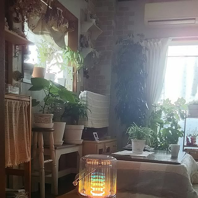 naopyiさんの実例写真