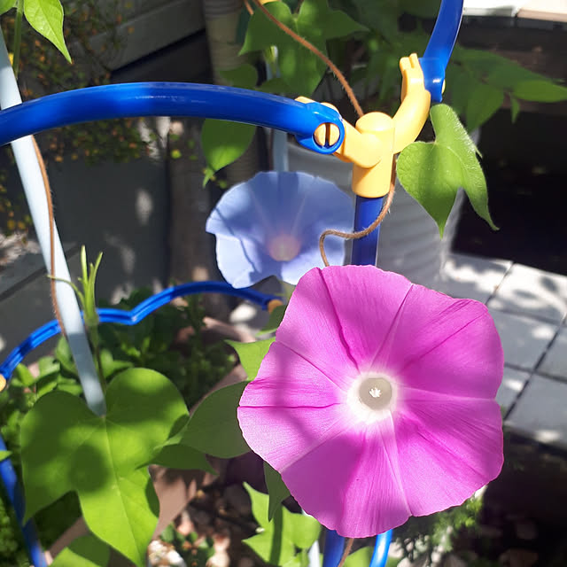 aiさんの実例写真