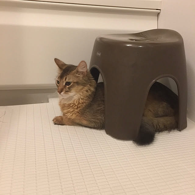 meさんの実例写真
