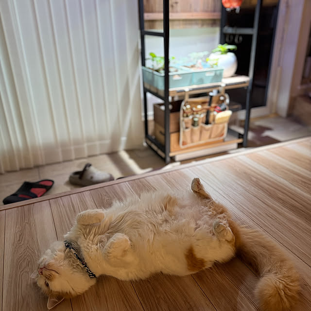 yutaさんの部屋