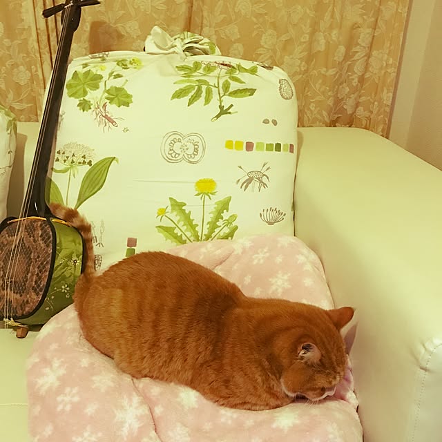 rika_336さんの実例写真