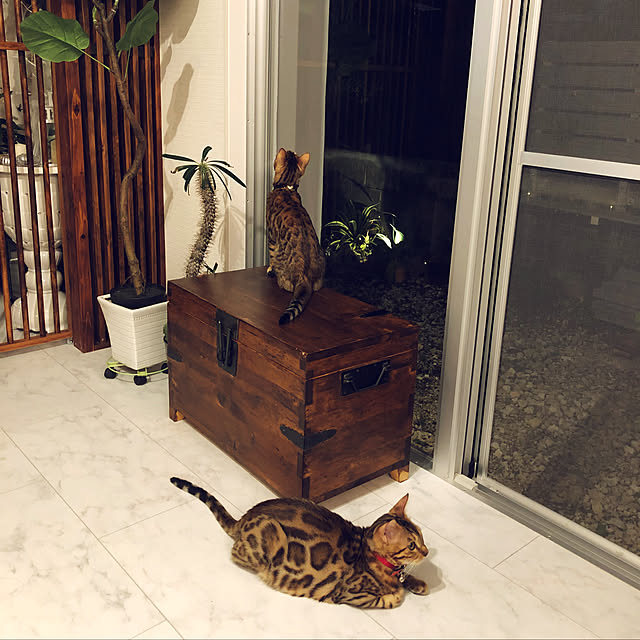 iranさんの実例写真