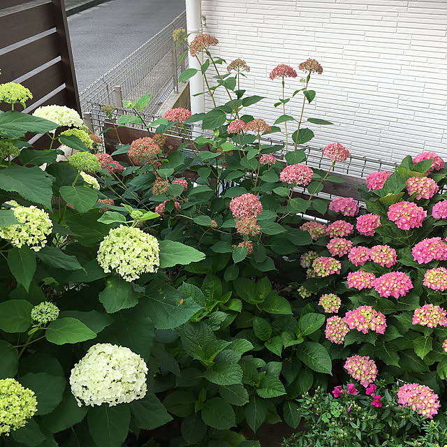 furu.さんの実例写真