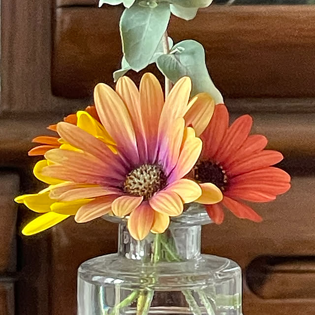 namecoさんの部屋