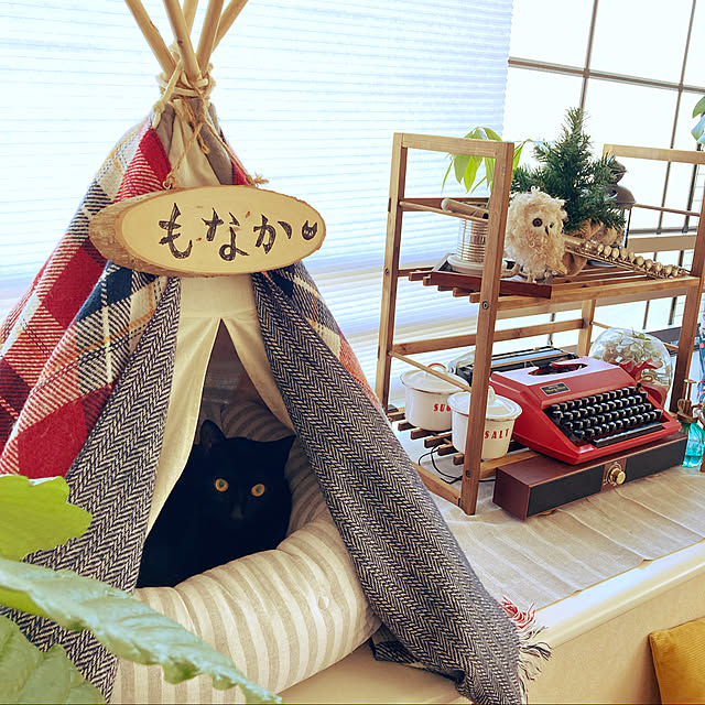 suemonta14さんの実例写真