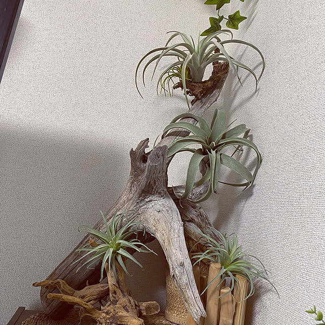 keiさんの実例写真