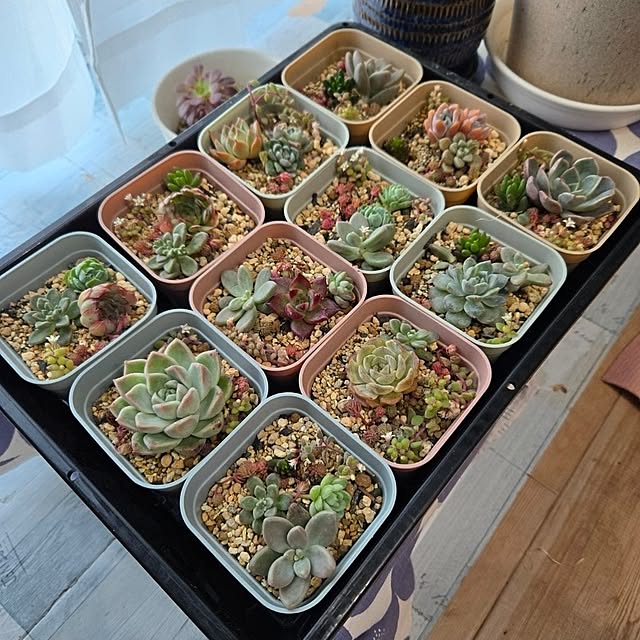 mayumiさんの部屋