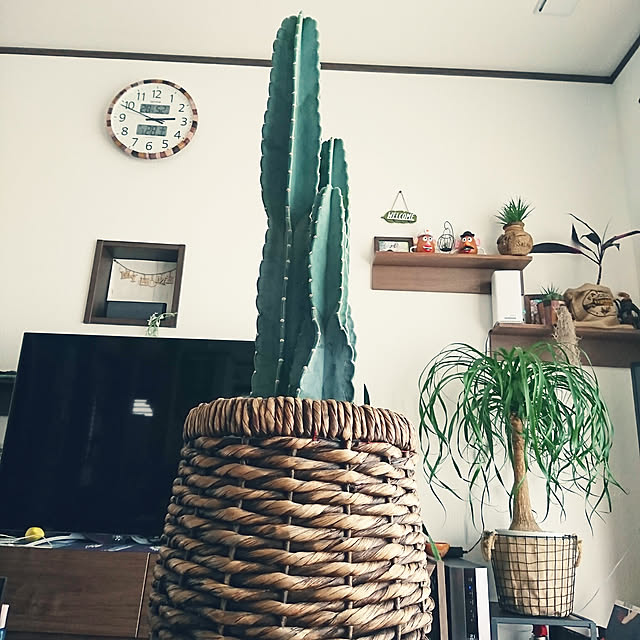 katcaさんの実例写真