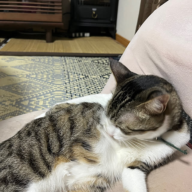 nacchi4さんの実例写真