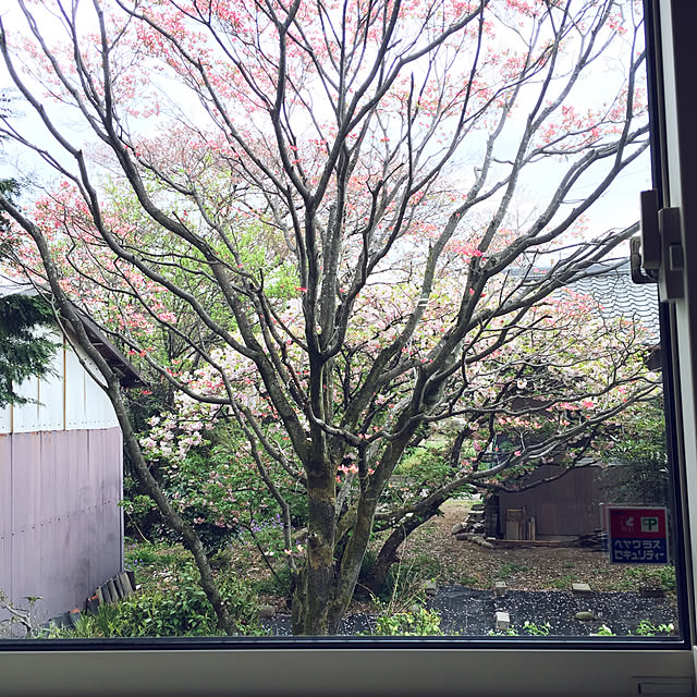 kirinchanさんの実例写真