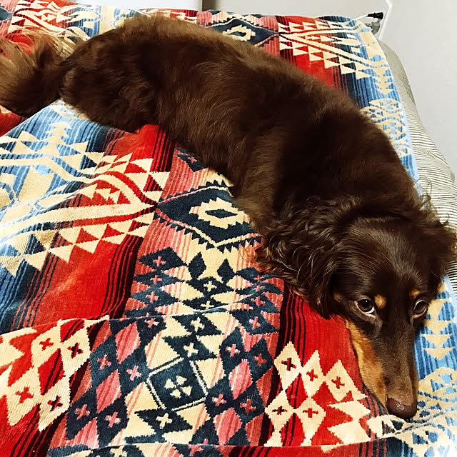 Seikoさんの実例写真