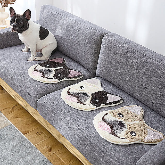 SUNROCK_in_Livingさんの実例写真