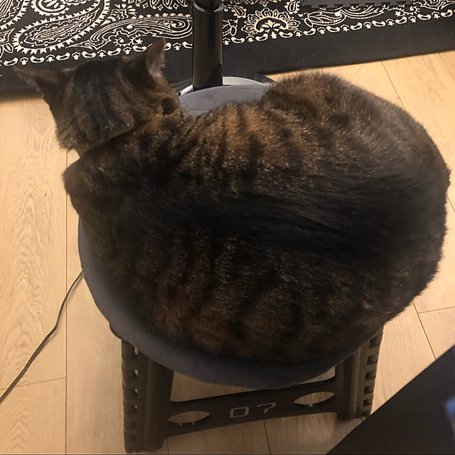 pさんの実例写真
