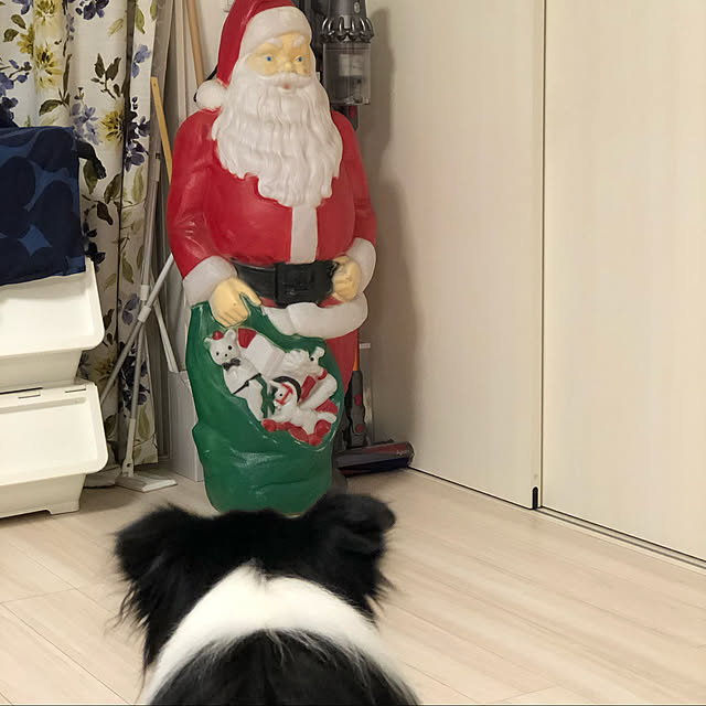 sukkorobiさんの実例写真