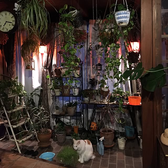 shigimiさんの実例写真