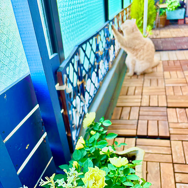 naokoさんの部屋