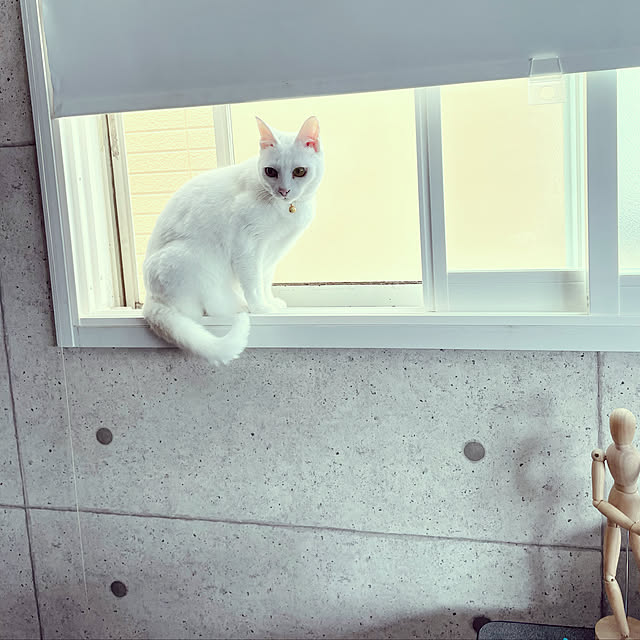 Maiさんの実例写真