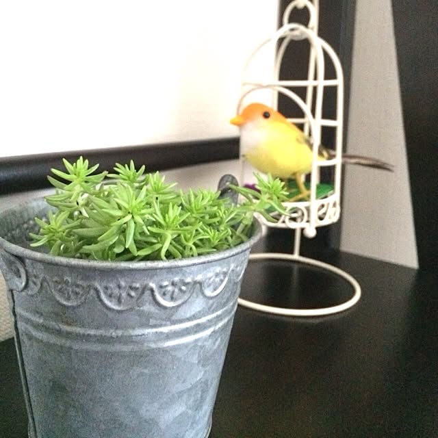 Hirokoさんの実例写真