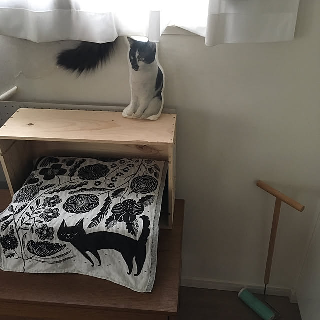 mikomaruさんの実例写真