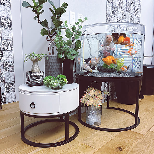 tomatoさんの部屋