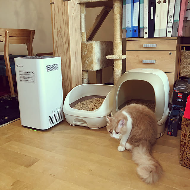 ecopanaさんの実例写真