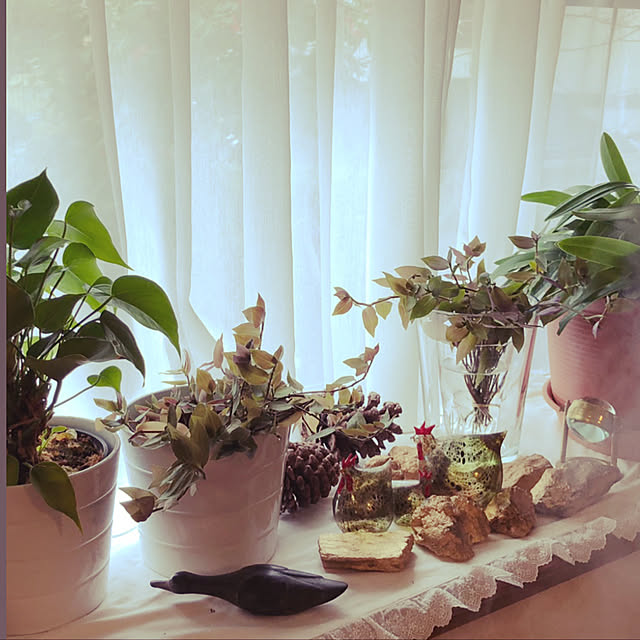 mamizaさんの実例写真