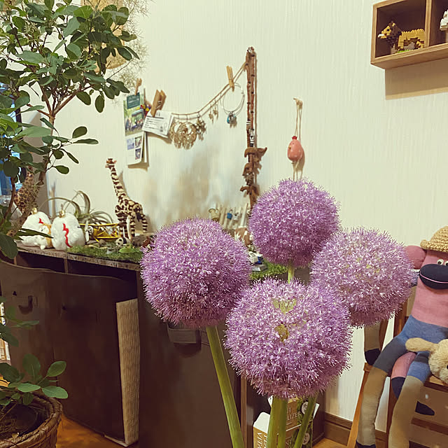pelliさんの実例写真