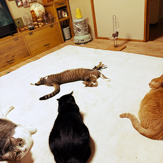 rioさんの実例写真