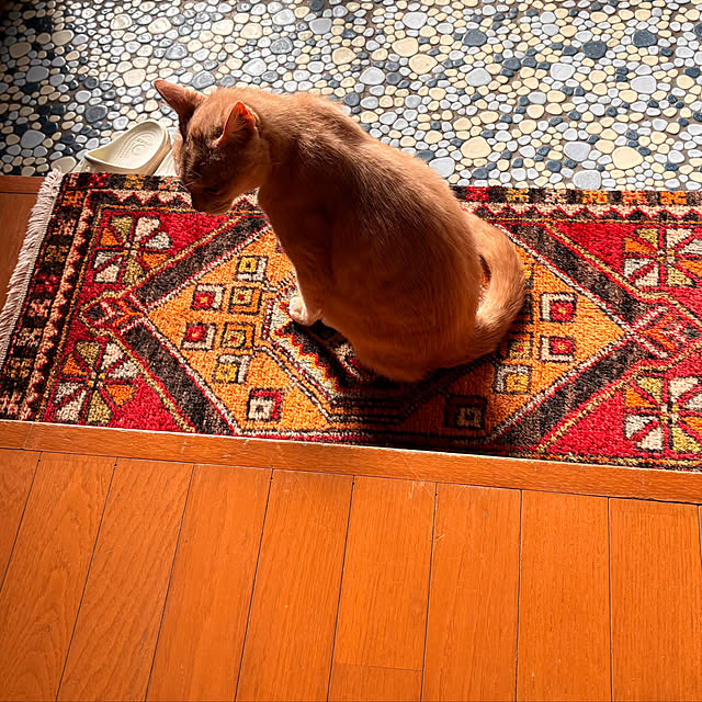 mikan161さんの実例写真