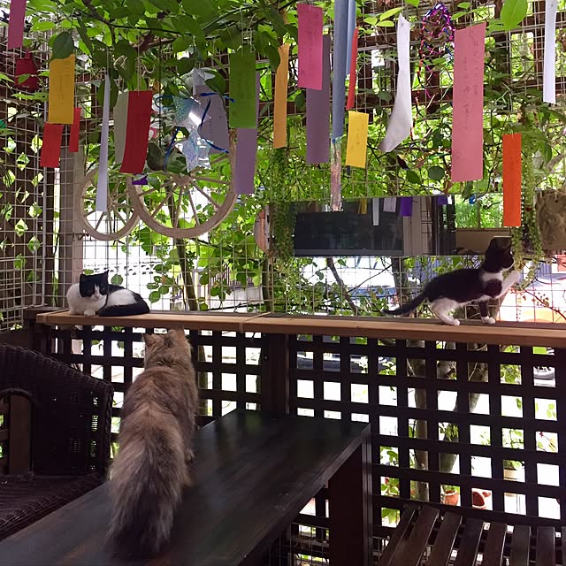 butachanさんの実例写真