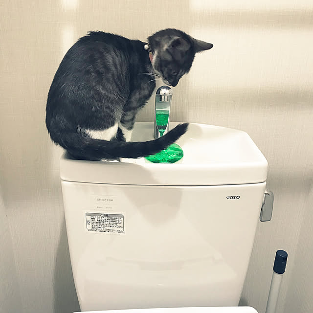 yuz96さんの実例写真