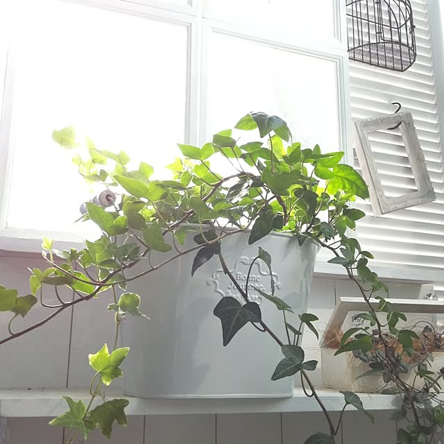happy_bridgeさんの実例写真