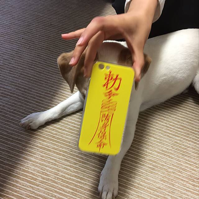 nanaさんの実例写真