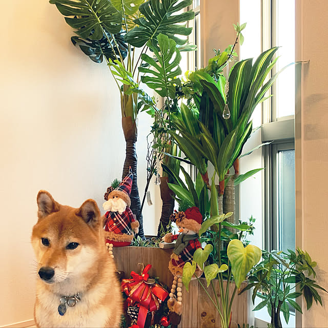 yuさんの実例写真