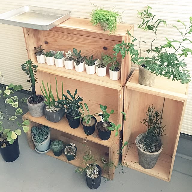 marley0209さんの実例写真