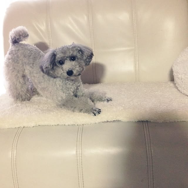 s.s.l_mikiさんの実例写真
