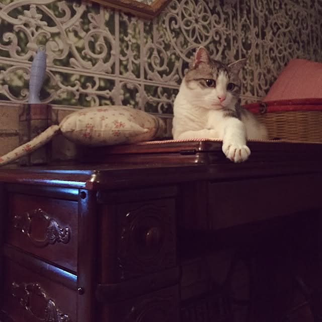 emmyyさんの実例写真