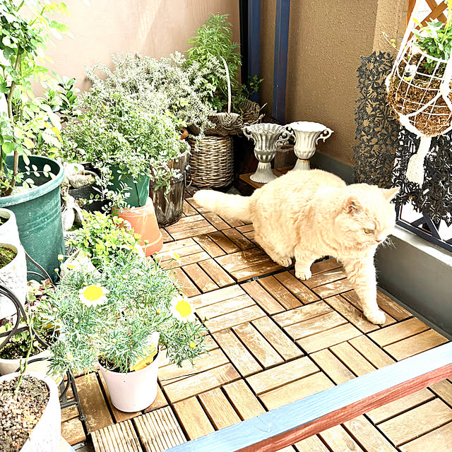 naokoさんの部屋