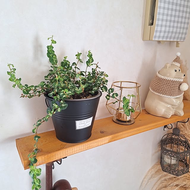 Blancheさんの部屋