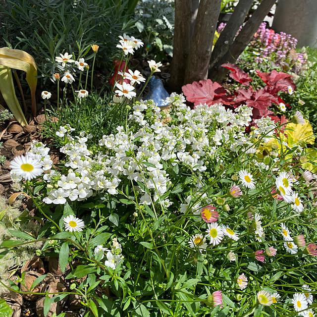 Komekoさんの部屋