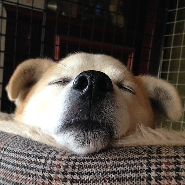 masu...さんの実例写真