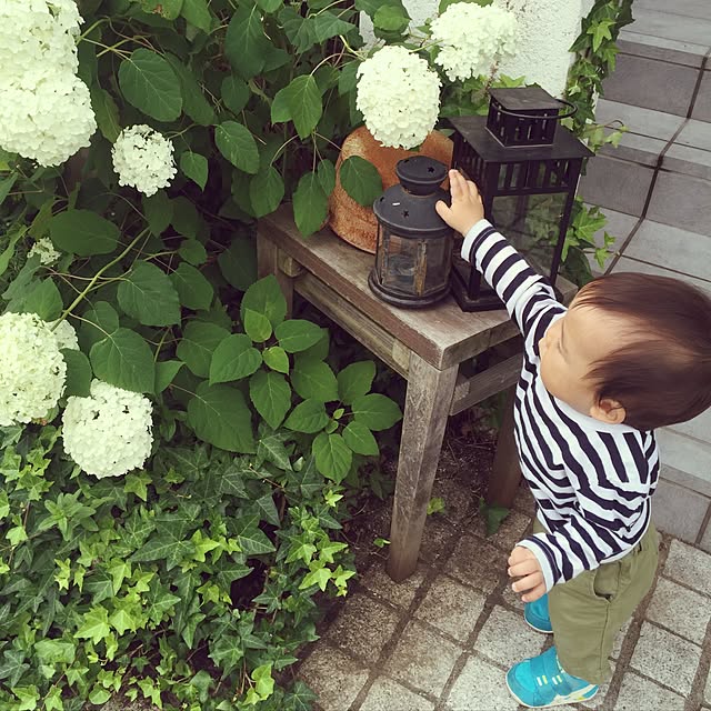 Ayumiさんの実例写真